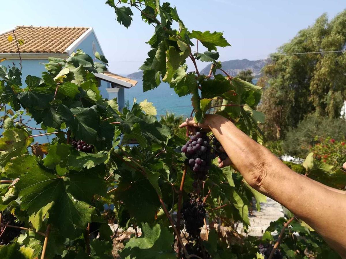 Cozy Apartment Few Mins From Beach Corfu 아기오스 게오르기오스 파곤 외부 사진