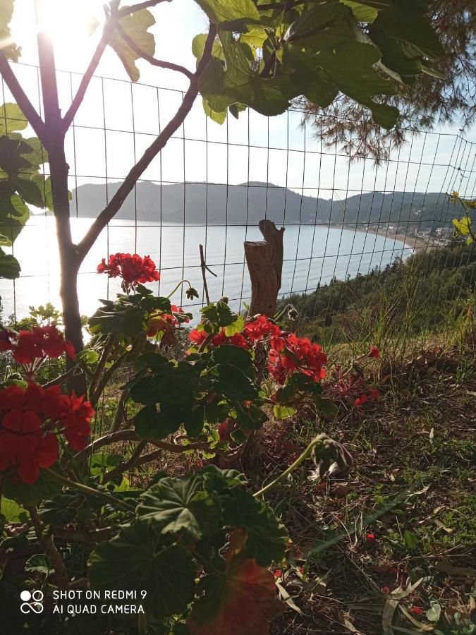 Cozy Apartment Few Mins From Beach Corfu 아기오스 게오르기오스 파곤 외부 사진